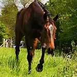 Domaine Du Manoir De 3* Vains