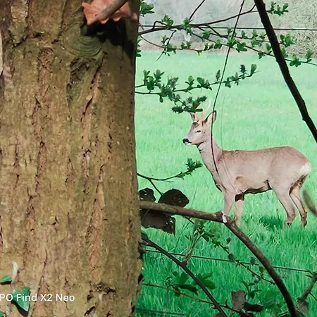 Domaine Du Manoir De Casa de hóspedes Vains