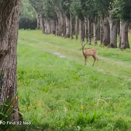 Domaine Du Manoir De 3* Vains