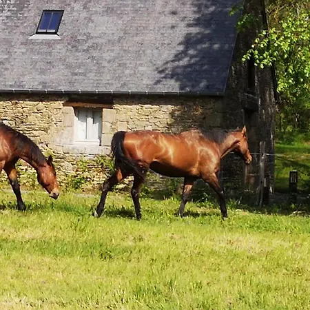 Domaine Du Manoir De Maison d'hôtes
