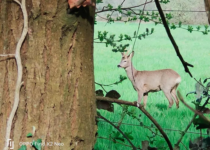 Domaine Du Manoir De Casa de hóspedes Vains