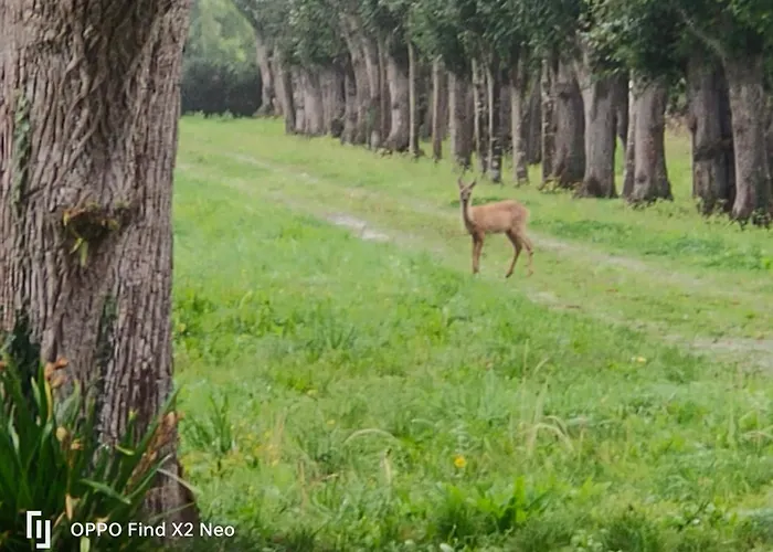Domaine Du Manoir De 3* Vains