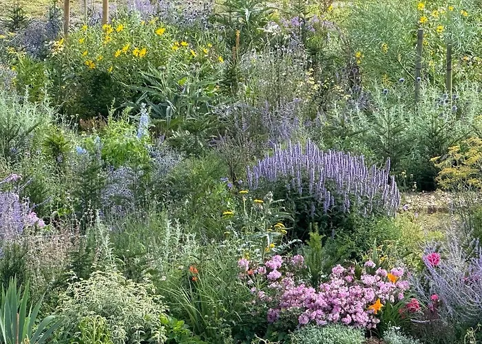 Domaine Du Manoir De Casa de hóspedes 3*