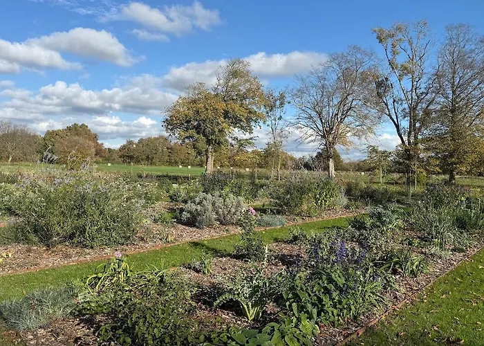Domaine Du Manoir De Vains