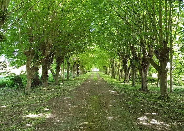 Casa de hóspedes Domaine Du Manoir De 3*