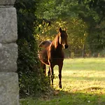 Domaine Du Manoir De