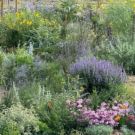 Domaine Du Manoir De Gæstehus 3*