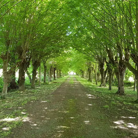 ゲストハウス Domaine Du Manoir De 3*