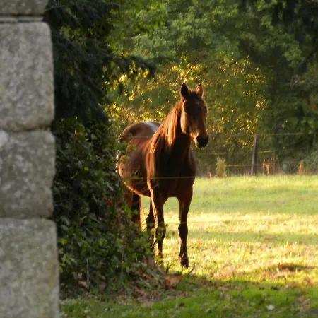 Domaine Du Manoir De