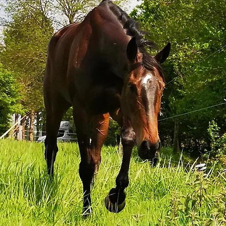 Domaine Du Manoir De 3* Vains