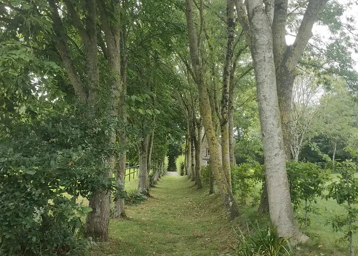 Gasthuis Domaine Du Manoir De Vains