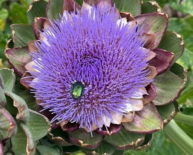 Domaine Du Manoir De 3*