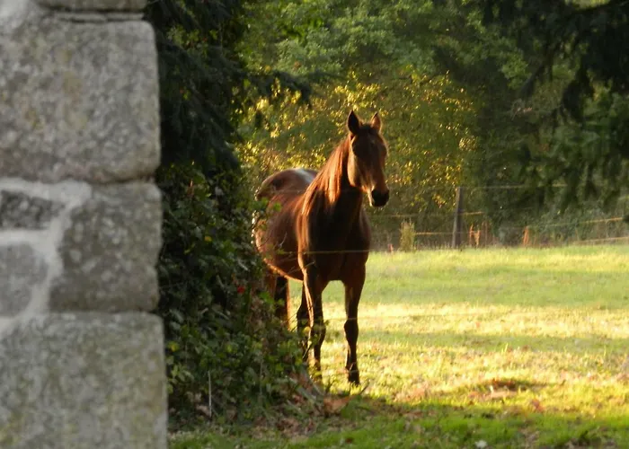 Domaine Du Manoir De