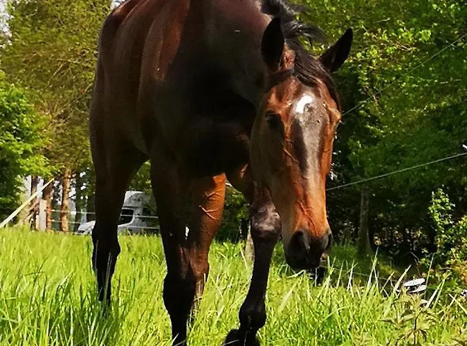 Domaine Du Manoir De 3* Vains